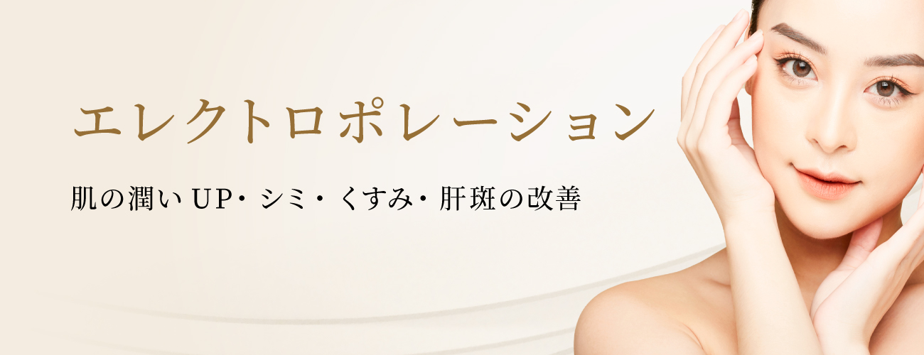 エレクトロポレーションTOP
