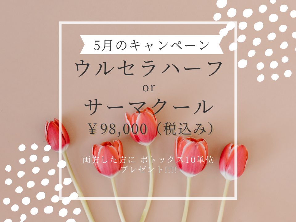 ウルセラハーフ・サーマクール