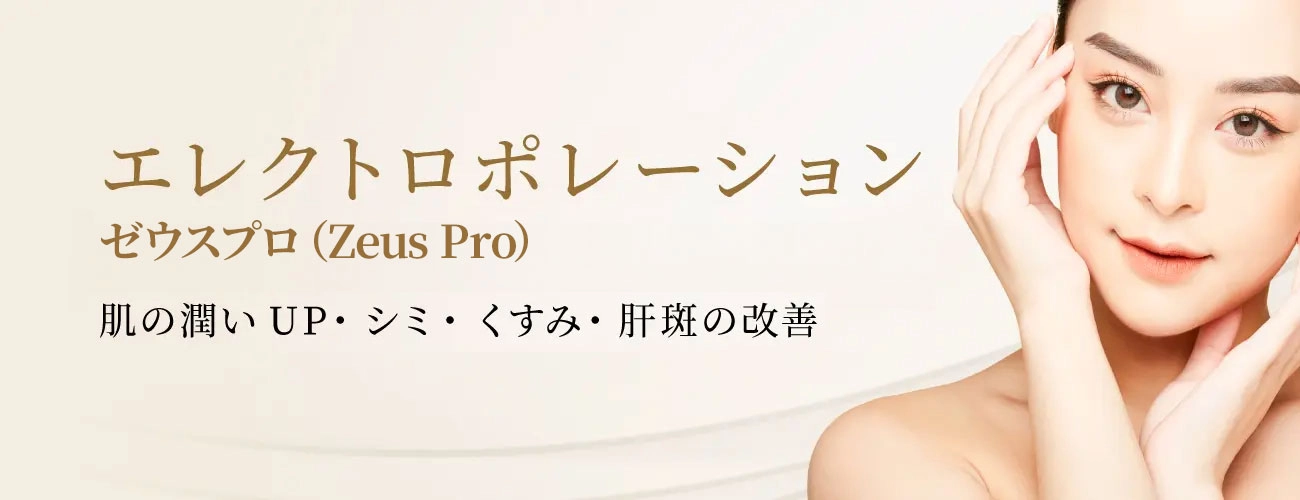 エレクトロポレーションTOP